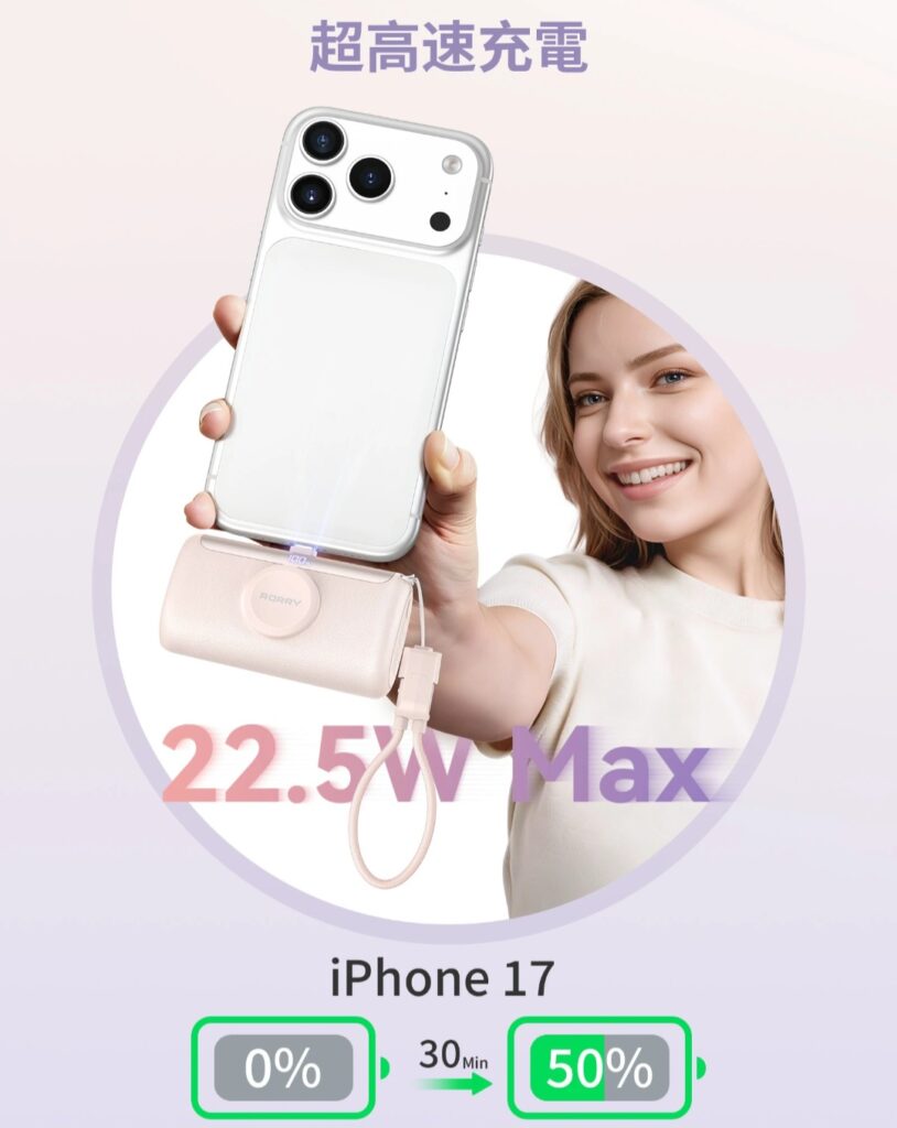 RORRY PalmGo 使用イメージ