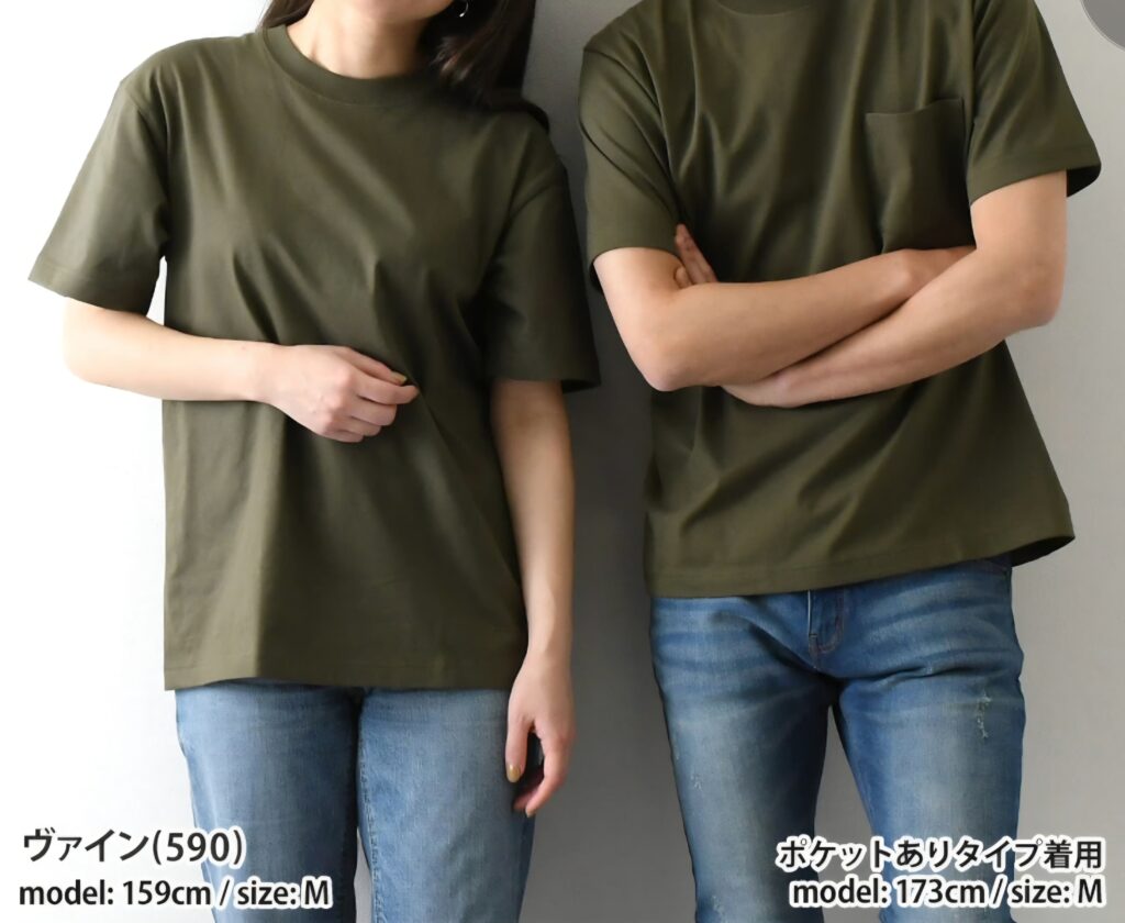 Hanes BEEFY-T 定番無地Tシャツ イメージ