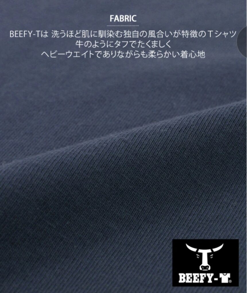 Hanes BEEFY-T サイズ感 イメージ