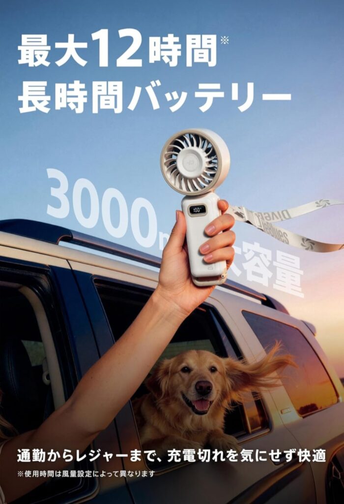 Diveblues Fanzy Fan USB-C充電イメージ